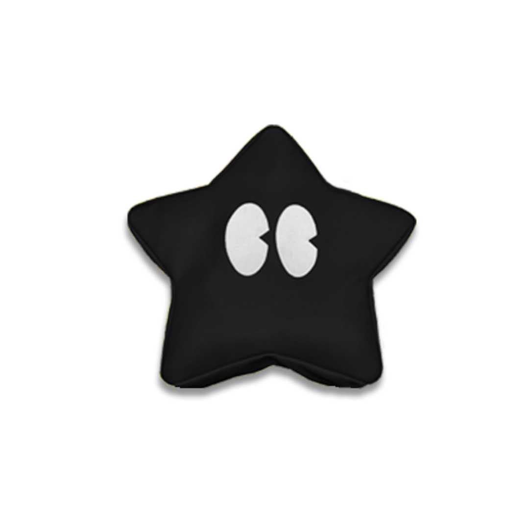 Black Star Bag (leather)
